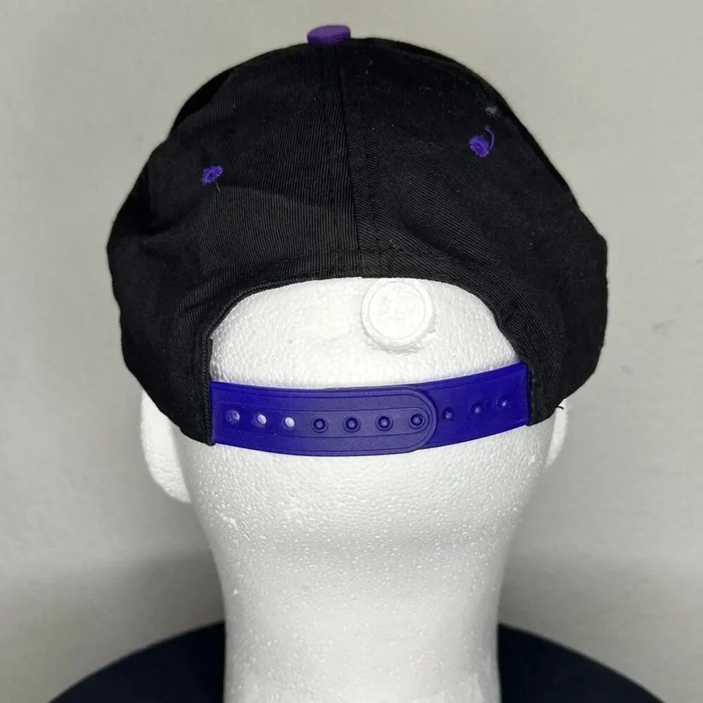1995 Colorado Rockies Looney Tunes snapback hat baseball